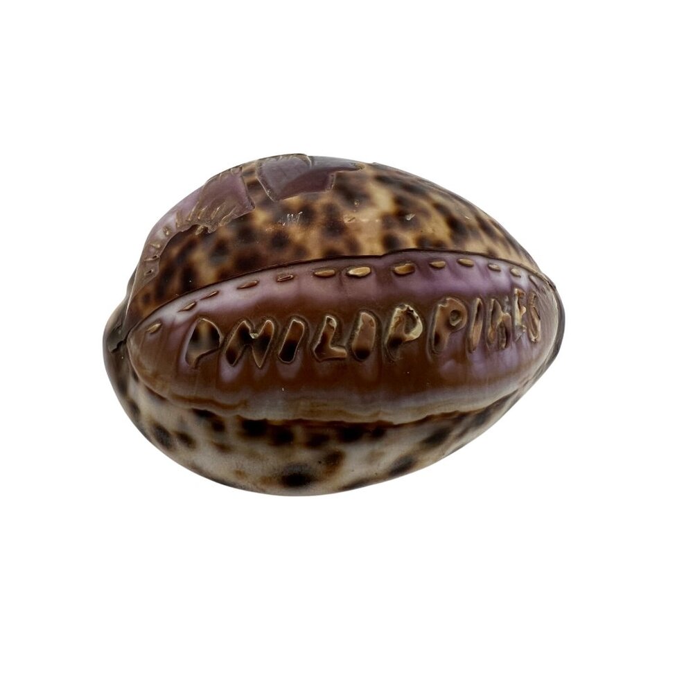 Hand-Carved Purple Tiger Cowrie Shell With Beach Scene From Philippines 3" Long